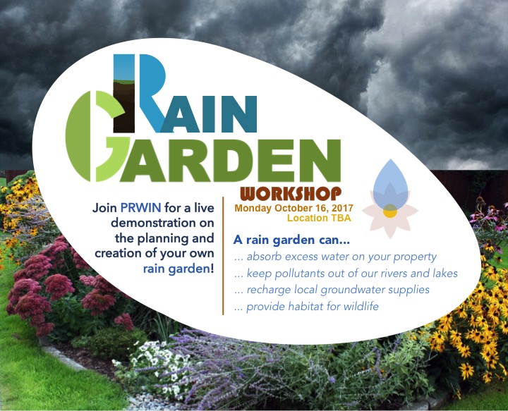 LIVE Rain Garden Workshop